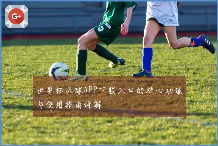 世界杯买球APP下载入口的核心功能与使用指南详解