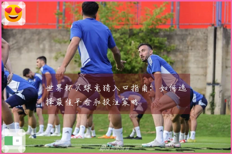 世界杯买球竞猜入口指南：如何选择最佳平台和投注策略