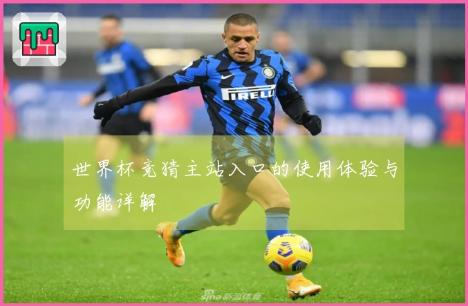 世界杯竞猜主站入口的使用体验与功能详解