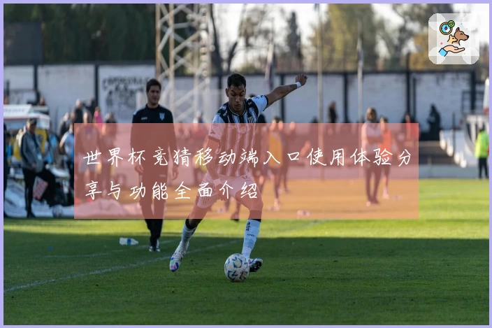 世界杯竞猜移动端入口使用体验分享与功能全面介绍