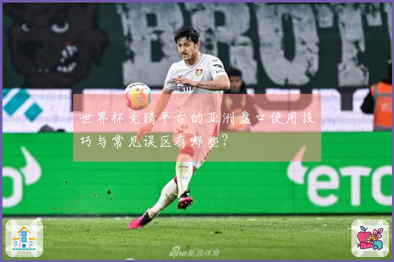 世界杯竞猜平台的亚洲盘口使用技巧与常见误区有哪些？