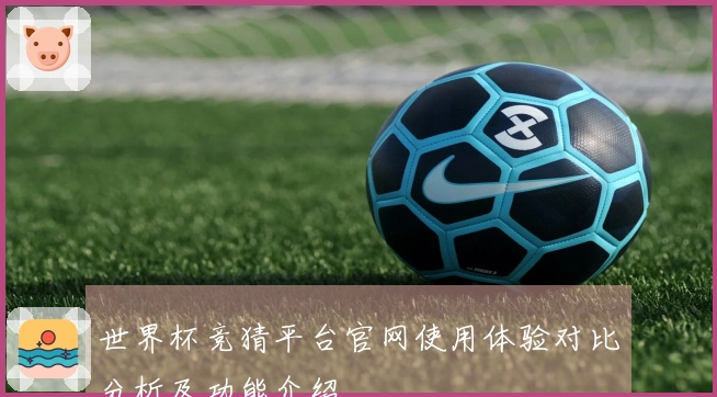世界杯竞猜平台官网使用体验对比分析及功能介绍