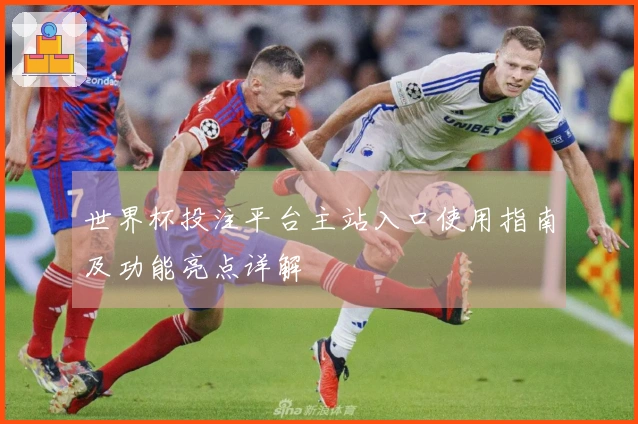 世界杯投注平台主站入口使用指南及功能亮点详解