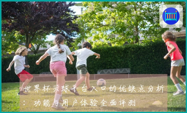 世界杯买球平台入口的优缺点分析：功能与用户体验全面评测