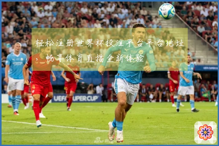 轻松注册世界杯投注平台平台地址，畅享体育直播全新体验