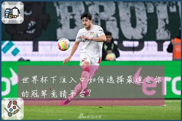 世界杯下注入口如何选择最适合你的冠军竞猜平台？