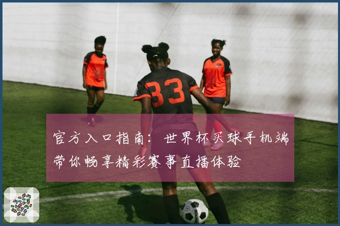 官方入口指南：世界杯买球手机端带你畅享精彩赛事直播体验
