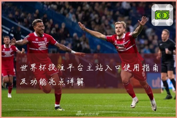 世界杯投注平台主站入口使用指南及功能亮点详解