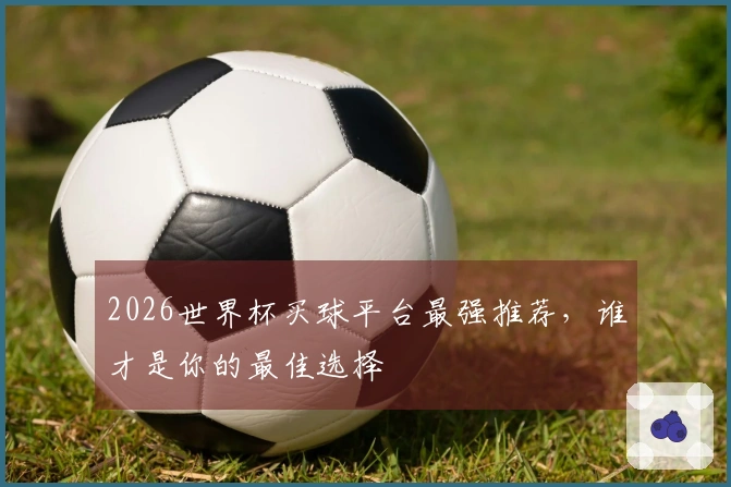 2026世界杯买球平台最强推荐，谁才是你的最佳选择