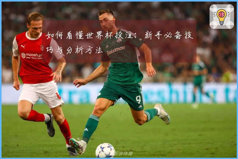 如何看懂世界杯投注：新手必备技巧与分析方法