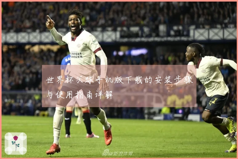 世界杯买球手机版下载的安装步骤与使用指南详解