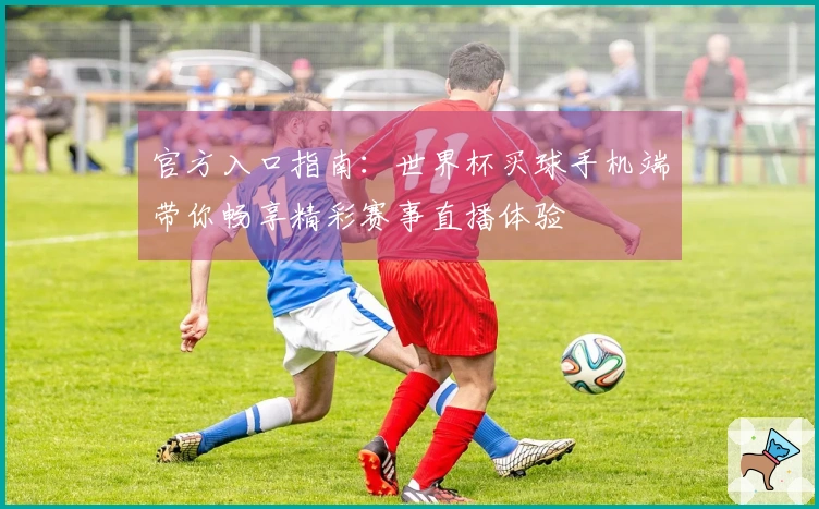 官方入口指南：世界杯买球手机端带你畅享精彩赛事直播体验