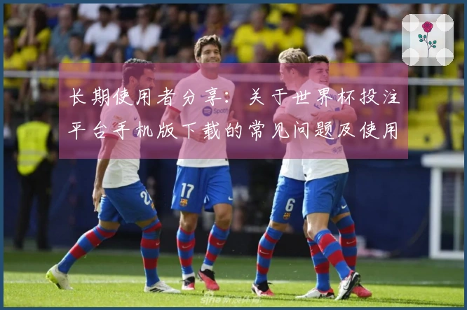 长期使用者分享：关于世界杯投注平台手机版下载的常见问题及使用体验解答