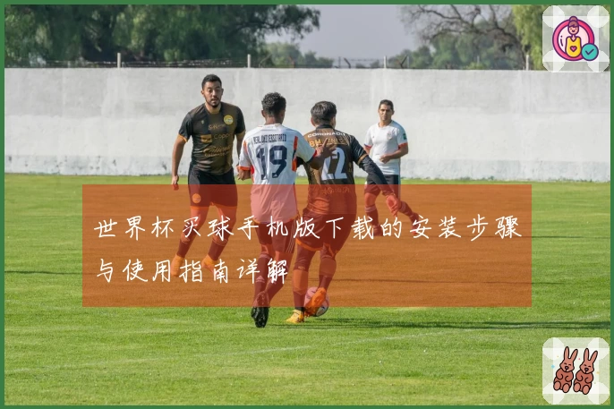 世界杯买球手机版下载的安装步骤与使用指南详解