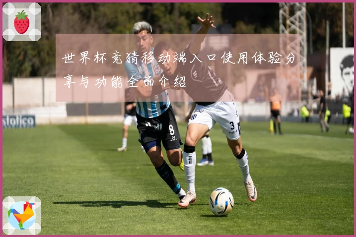 世界杯竞猜移动端入口使用体验分享与功能全面介绍