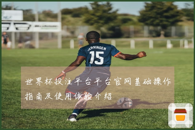世界杯投注平台平台官网基础操作指南及使用体验介绍