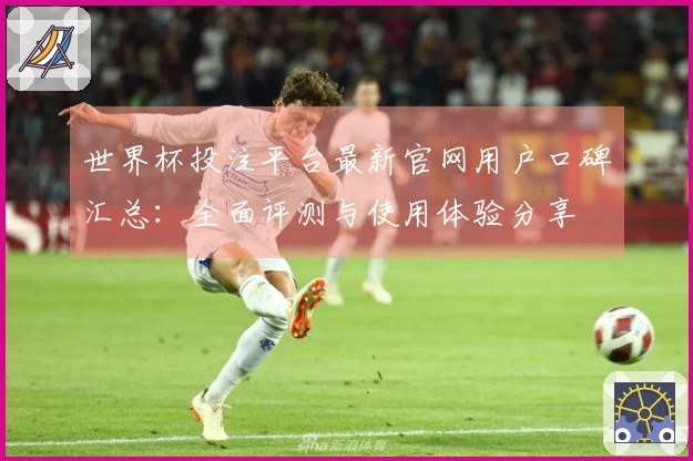 世界杯投注平台最新官网用户口碑汇总：全面评测与使用体验分享