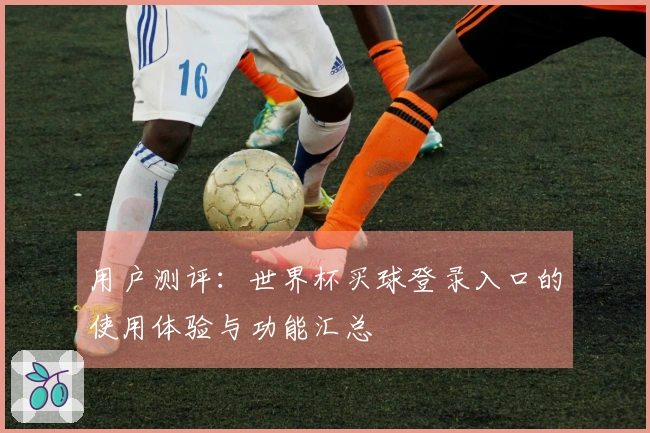 用户测评：世界杯买球登录入口的使用体验与功能汇总