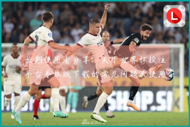 长期使用者分享：关于世界杯投注平台手机版下载的常见问题及使用体验解答