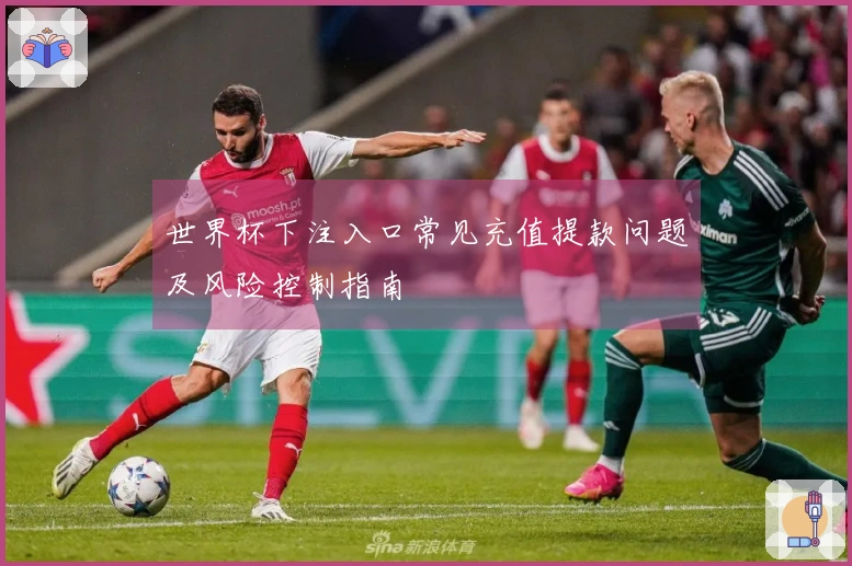 世界杯下注入口常见充值提款问题及风险控制指南