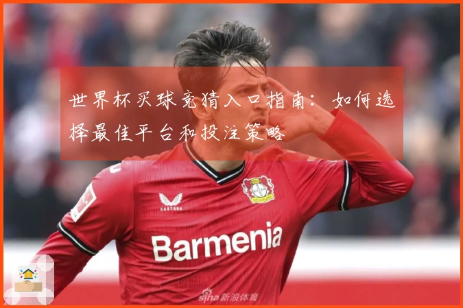 世界杯买球竞猜入口指南：如何选择最佳平台和投注策略