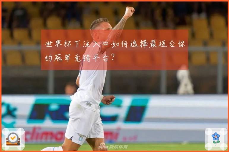世界杯下注入口如何选择最适合你的冠军竞猜平台？