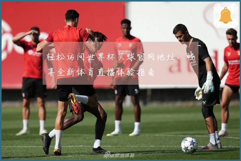 轻松访问世界杯买球官网地址，畅享全新体育直播体验指南